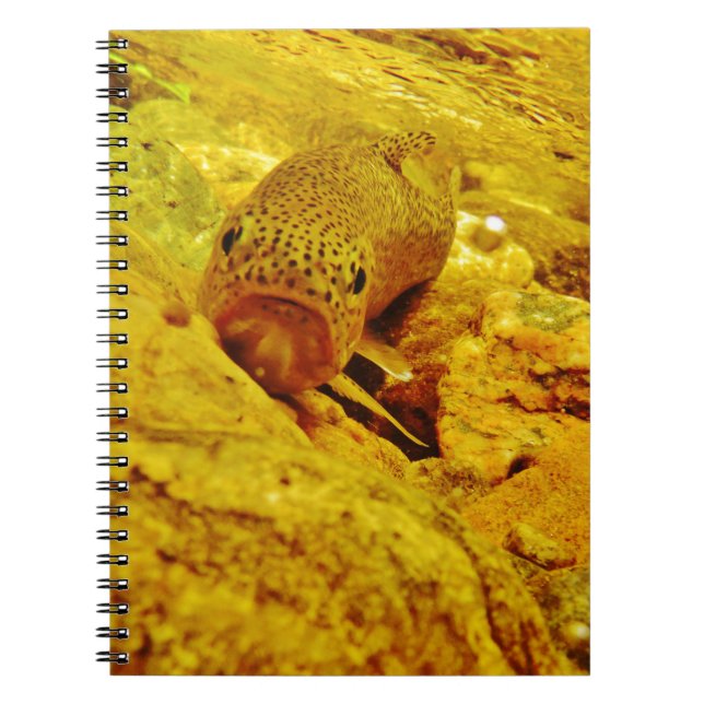 Trout in stream notebook (Front)