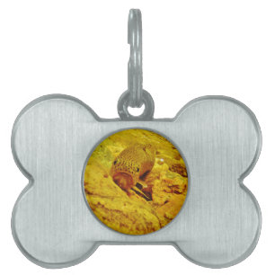 Trout in stream pet ID tag