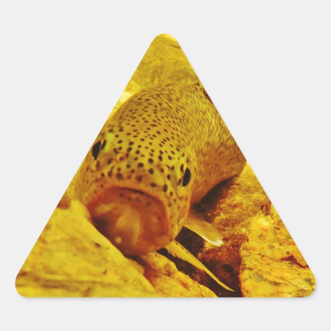 Trout in stream triangle sticker (Front)