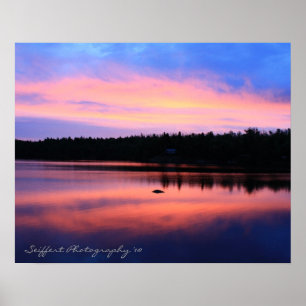 Trout Lake Series Poster