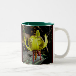 Trout Lily #1 Mug