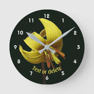 Trout Lily And Firefly Floral Personalized Round Clock