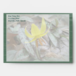 Trout Lily Wildflower - Erythronium americanum Envelopes