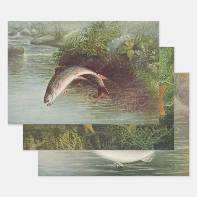 Trout, Red Snapper, California Salmon by Kilbourne Wrapping Paper Sheet (Set)