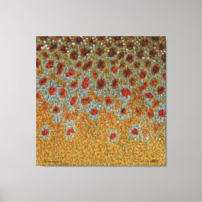 Trout Skin Montage - Brown Trout Canvas Print (Front)