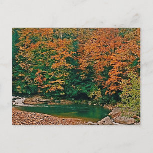 Trout Stream, West Virginia Postcard