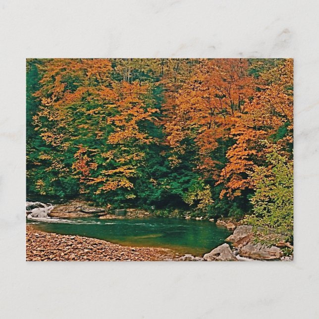 Trout Stream, West Virginia Postcard (Front)
