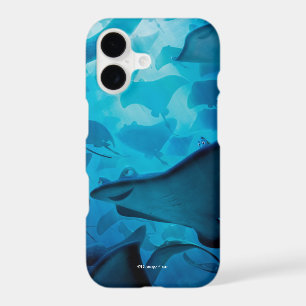 Trouver Dory Cache-cache - Raies