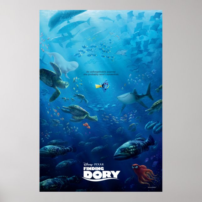 Trouver Dory | Poster (Devant)