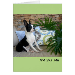 Trouvez votre zen - CARTE VIERGE Lola B. Boston