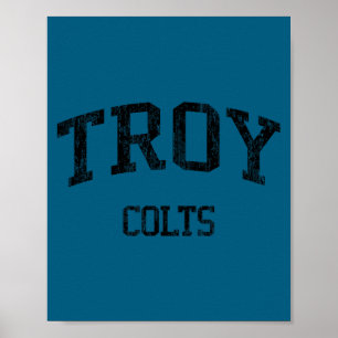 Troy high school hs troy mi vintage sports  poster