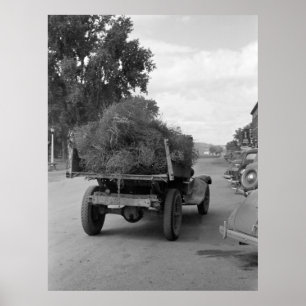 Truckload of Tumbleweed, 1939 Poster