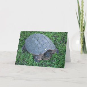 Trudging Along for Over 70 Million Years Birthday Card