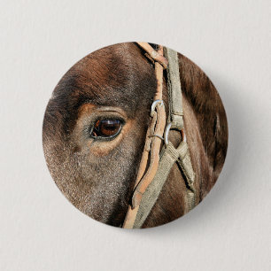 True Beauty 2 Inch Round Button