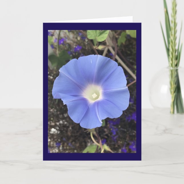True Blue Morning Glory Card (Front)