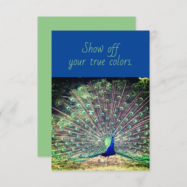 True Colours Peacock Flat Greeting Card (Front/Back)