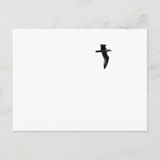 True Freedom Postcard