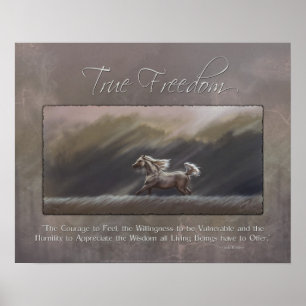 True Freedom Poster