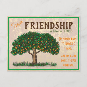 True Friendship Postcard