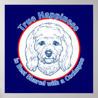 True Happiness with a Cockapoo