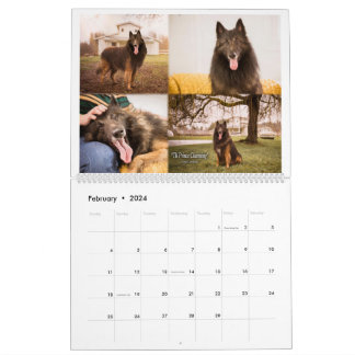True Knight Belgian Tervuren dog/puppy Calendar