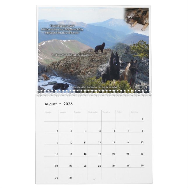 True Knight Tervurens calendrier des avis de chiot (Aug 2026)