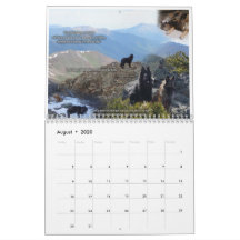True Knight Tervurens puppy reviews calendar