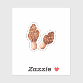True Morels (Morchella)