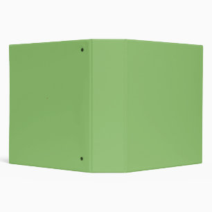 True Pistachio Green Binder