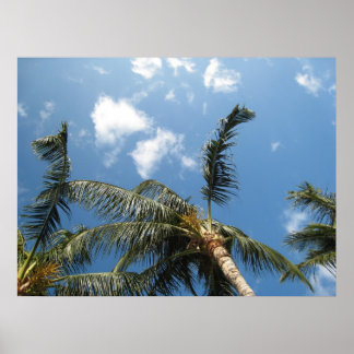True Relaxation Poster