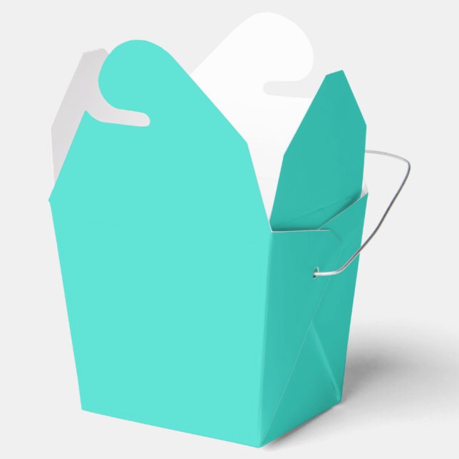 True Turquoise Favor Box (Opened)