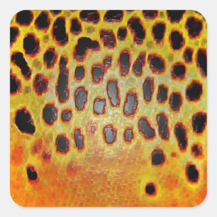 Truite Brown - Stickers