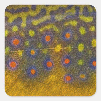 Truite de ruisseau - Stickers