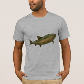 Truite, T-shirt