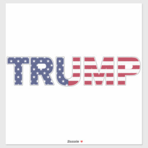 Trump 2024 Election American Flag