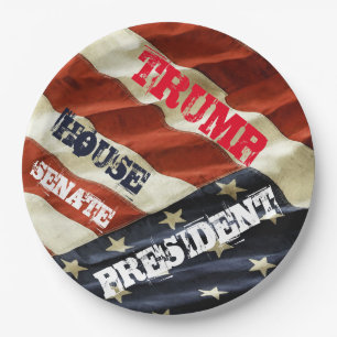 TRUMP 2024 PAPER PLATE