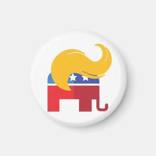Trump 2024 Presidential Election Magnet