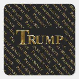TRUMP 2024 SQUARE STICKER