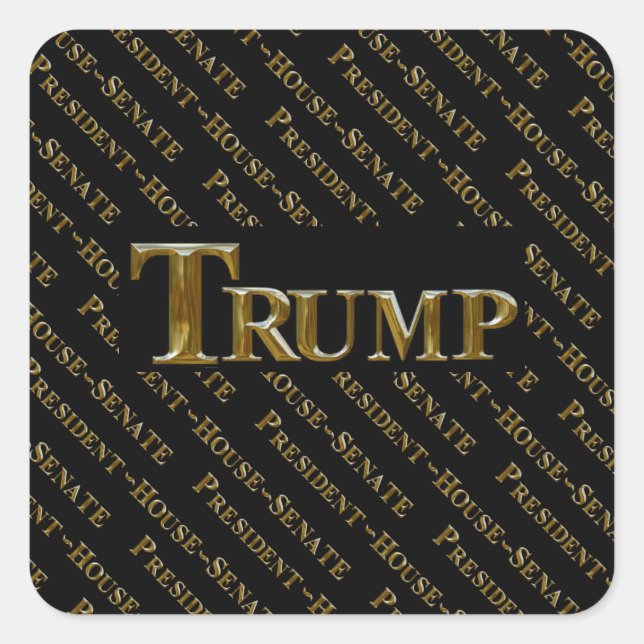 TRUMP 2024 SQUARE STICKER (Front)
