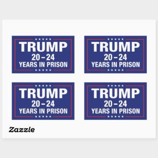 Trump 20 - 24 years in prison - funny anti trump sticker