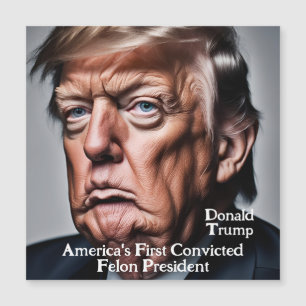 Trump: America's First Convicted Felon President
