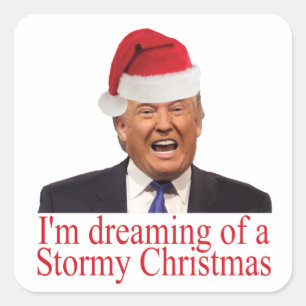 Trump, Dreaming of a Stormy Christmas Square Sticker