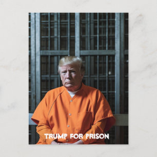 Trump en prison Carte postale Trump en prison