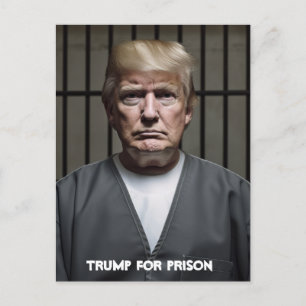 Trump For Prison Trump in Jail Postcard