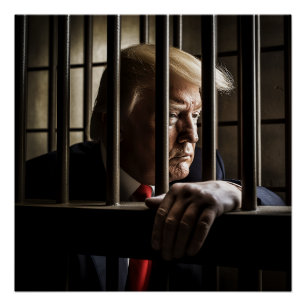 Trump in Jail.  Poster