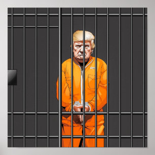 Trump in Jail Print, Value Poster Paper (Matte) 12