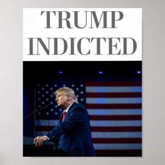 Trump Indicted Poster