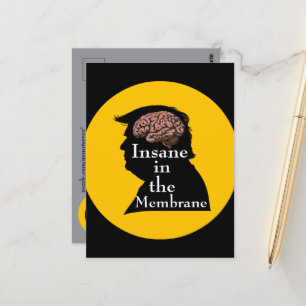 Trump/Insane Postcard