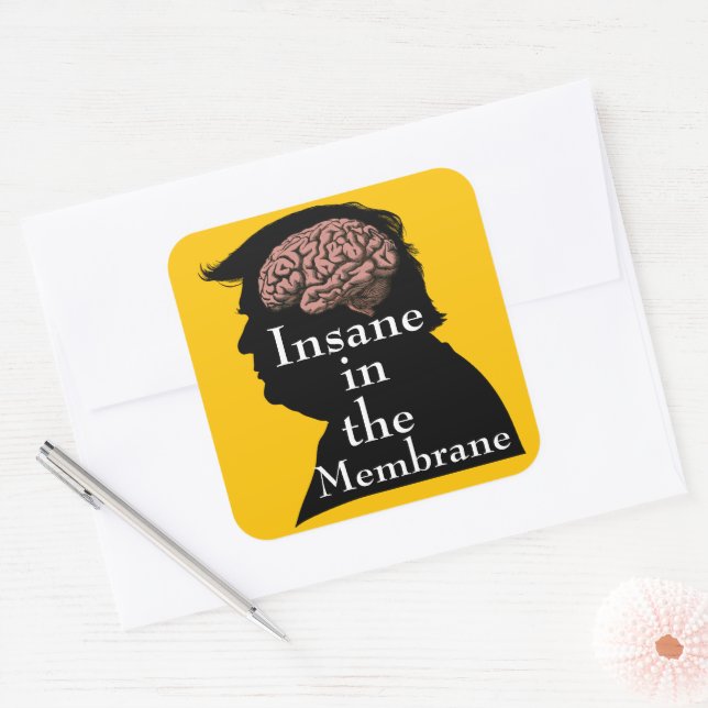 Trump/Insane Sticker (Envelope)