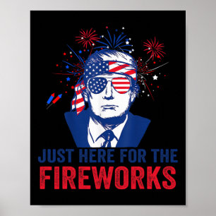 Trump Just Here For The Fireworks Funny Fourth Of Poster